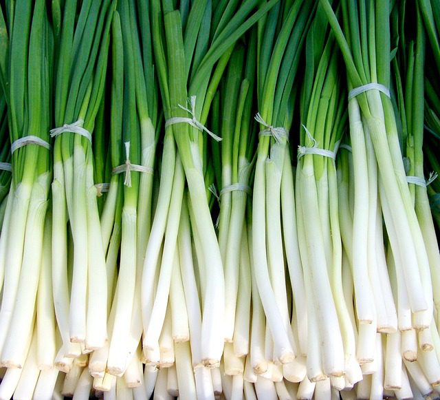 green-onions-699943_640.jpg